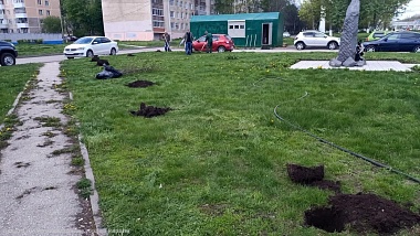 В Рязани высадили ивы и декоративные кустарники 