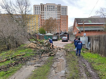 Волонтеры убрали 15 упавших в Рязани деревьев