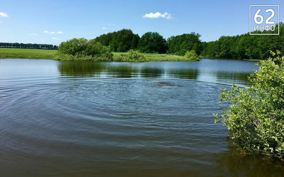 Подросток утонул в водоёме под Рязанью - 62ИНФО