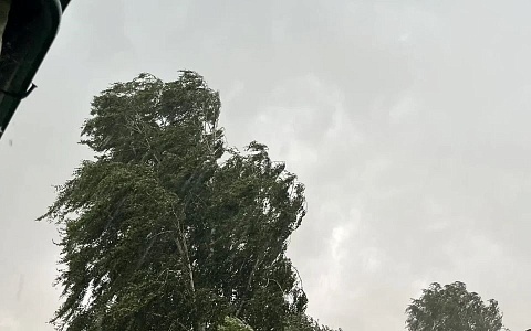 Рязанцев предупредили об ураганном ветре