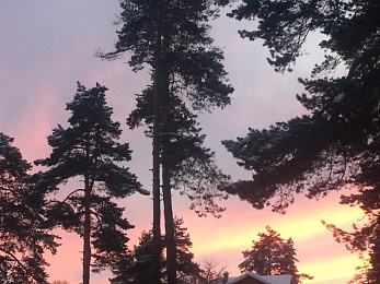 Зимние развлечения: чем заняться в Рязани в снежном январе