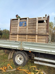 Зубры Месябр и Меледи переехали из Окского заповедника в «Смоленское Поозерье»