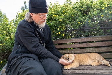 Митрополит Марк познакомился с львенком из Ряжского зоопарка