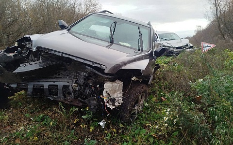 У Старожилова в ДТП со Škoda Octavia и Chevrolet пострадали трехлетка и младенец