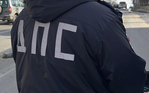 Автоинспекторы провели занятие в детском саду в Рязани 