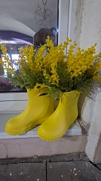 Все желтое: в Касимов пришла весна