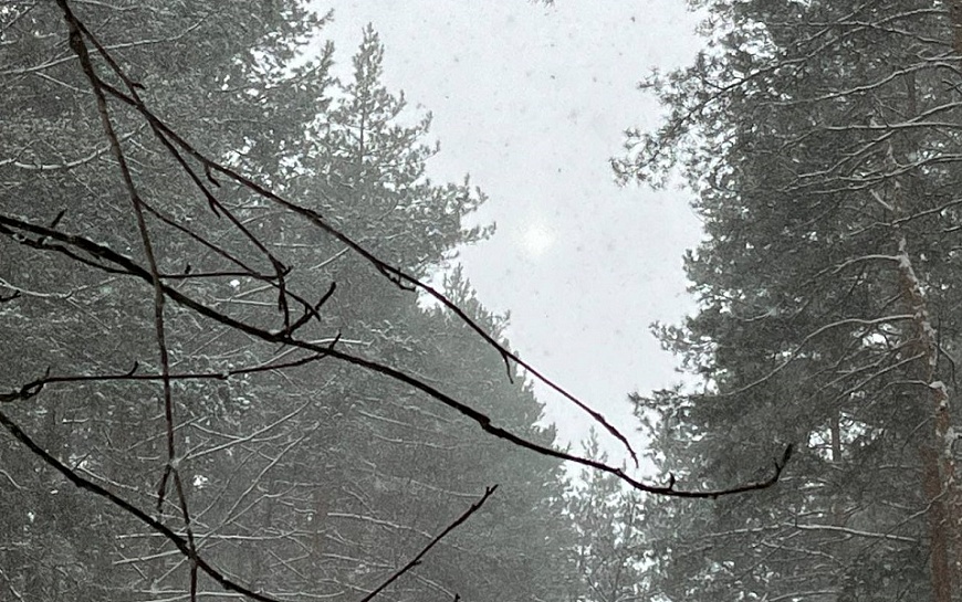 Рязанцев ждут три вида осадков в день и оттепель