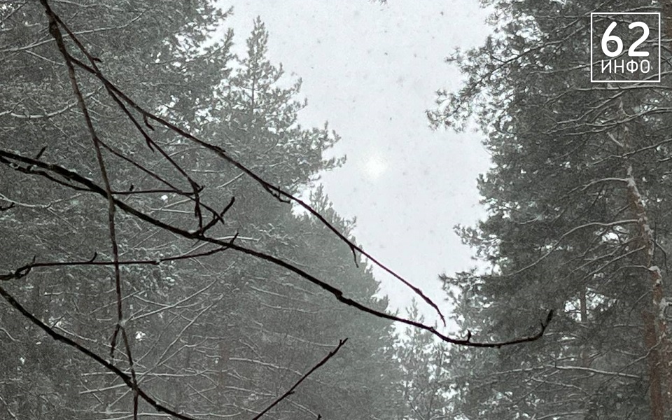 Рязанцев ждут три вида осадков в день и оттепель - 62ИНФО