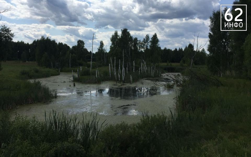 Прончанина поймали во время браконьерства на реке Галина - 62ИНФО