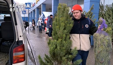 В Рязанской области семьям фронтовиков привезли елки к Новому году - 62ИНФО В Рязанской области семьям фронтовиков привезли елки к Новому году