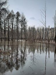 В Рязани затопило парк имени Гагарина 