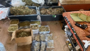 В Рязанском районе задержали создателя крупнейшей за 2025 год наркофермы