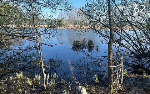 За сутки уровень воды в Оке в черте Рязани снизился на 40 сантиметров