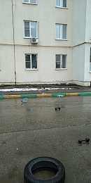 Житель дома на улице Большой в Рязани кидает из окна гантели 