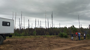 Активно горит 40 гектаров, угрозы людям нет, в Сельцах рвались снаряды. Подробности о лесных пожарах  - 62ИНФО Активно горит 40 гектаров, угрозы людям нет, в Сельцах рвались снаряды. Подробности о лесных пожарах