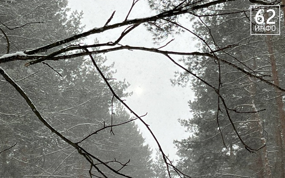 Снежный шторм: МЧС выпустило экстренное предупреждение для рязанцев - 62ИНФО