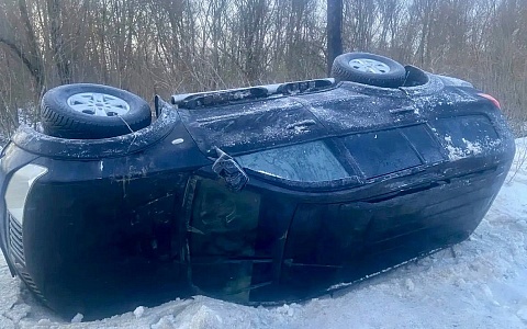 В ДТП в Скопинском районе пострадали три человека