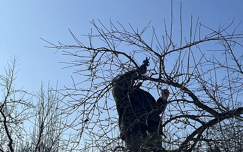 В Рязанской области огородный сезон может начаться позже из-за погоды