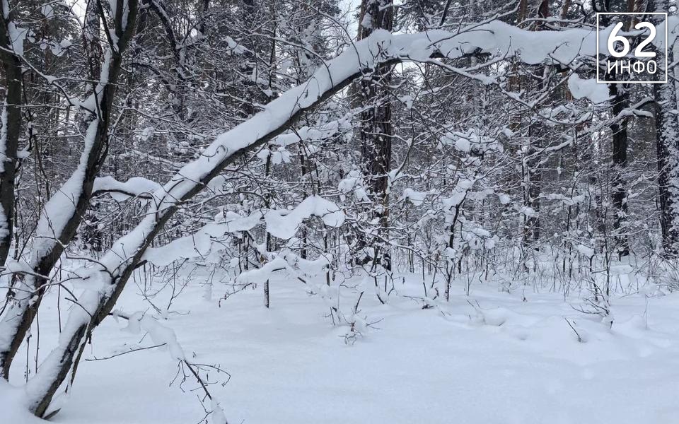 Рязанцев предупредили о сильном снегопаде и усилении ветра 18 февраля  - 62ИНФО