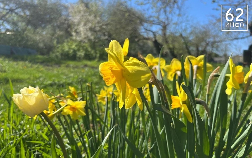 Пять дней лета: в Рязанскую область идет аномальная апрельская жара - 62ИНФО