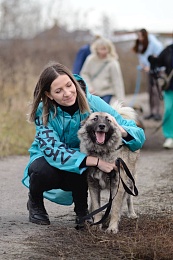 В Рязани «Новые люди» помогли приюту собак подготовиться к зиме