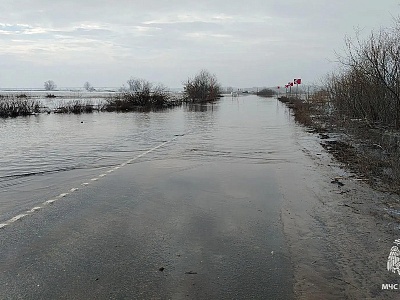 В реках Рязанской области продолжается подъем воды