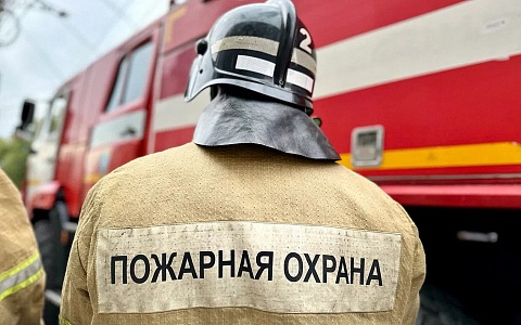 В Старожиловском районе сгорела машина, есть пострадавший