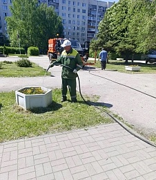 В Рязани поливают цветы на площадях и в скверах