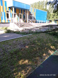 Дерево упало у входа в детский сад на Касимовском шоссе