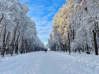 Снег и гирлянды превратили Рязань в новогоднюю открытку