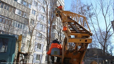 В Рязани спилили 24 дерева