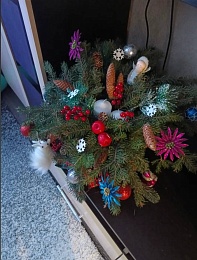 Рязанцы показали фотографии домашних ёлок