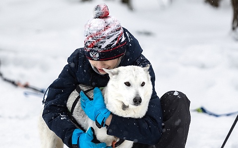 Фестиваль ездового спорта прошёл на базе «Звёздный» в Спасском округе
