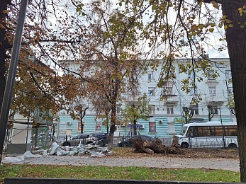 В Рязани корчуют деревья в сквере на Есенина - 62ИНФО В Рязани корчуют деревья в сквере на Есенина