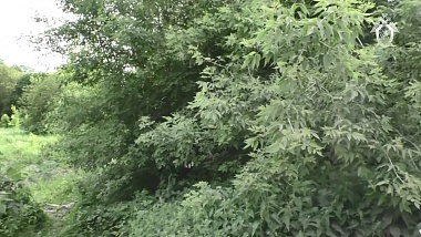 Подозреваемый в убийствах таксистов воссоздал сцены преступлений в Рязанской области