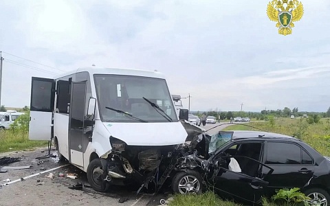 Прокуратура проводит проверку после смертельного ДТП в Скопинском районе