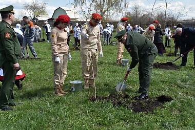 Любимов поучаствовал в высадке берёз в Михайловском районе