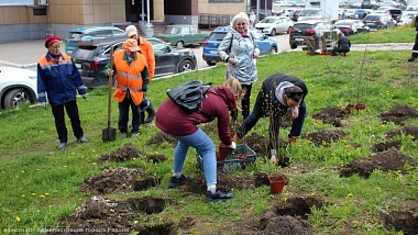 В Рязани высадили ивы и декоративные кустарники 