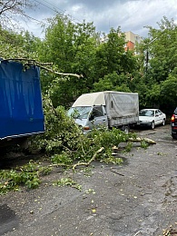Гроза в Рязани: фоторепортаж ущерба - 62ИНФО Гроза в Рязани: фоторепортаж ущерба