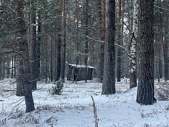 В рязанском лесу сфотографировали заброшки и лестницу в никуда - 62ИНФО В рязанском лесу сфотографировали заброшки и лестницу в никуда