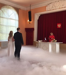 Рязанский ЗАГС представил фото свадеб лета-2023 - 62ИНФО Рязанский ЗАГС представил фото свадеб лета-2023