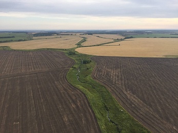 Фоторепортаж: пилоты «Неба России» пролетели на воздушных шарах над Рязанской областью - 62ИНФО Фоторепортаж: пилоты «Неба России» пролетели на воздушных шарах над Рязанской областью