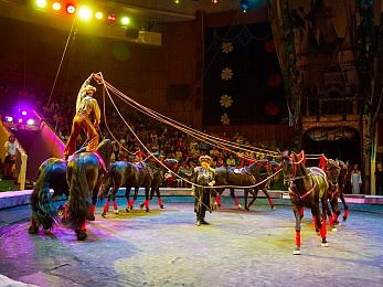 Цирк Легенда Рязань. Цирк аргонавты в Рязанском цирке. Рязанский цирк 2021. Рязанский цирк в январе 2021