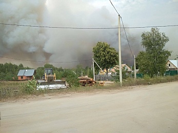 Фоторепортаж: лесной пожар в Деулино