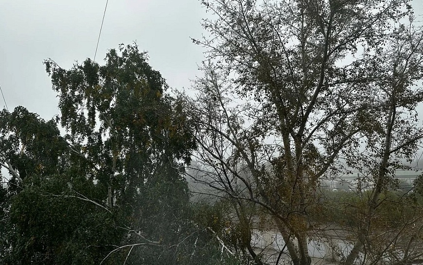 В МЧС назвали 2 самых опасных района Рязанской области