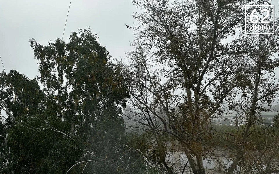 В МЧС назвали 2 самых опасных района Рязанской области - 62ИНФО