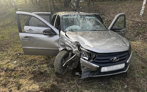 В ДТП в Касимовском районе пострадали двое взрослых и 6-летний ребенок