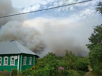 Фоторепортаж: лесной пожар в Деулино