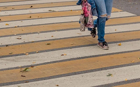 Рязанская Госавтоинспекция выявила более 10 нарушений в ходе рейдов «Пешеход» 