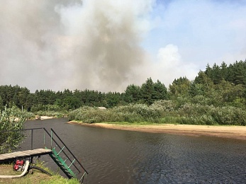 Фоторепортаж: лесной пожар в Деулино